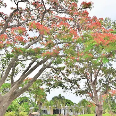 Isabela Villa Bonita - Vacation & Event Venue Sleeps 50!-2